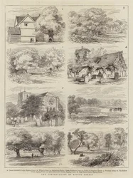 Die Erhaltung des Epping Forest